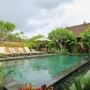 Bali Sunshine Ubud